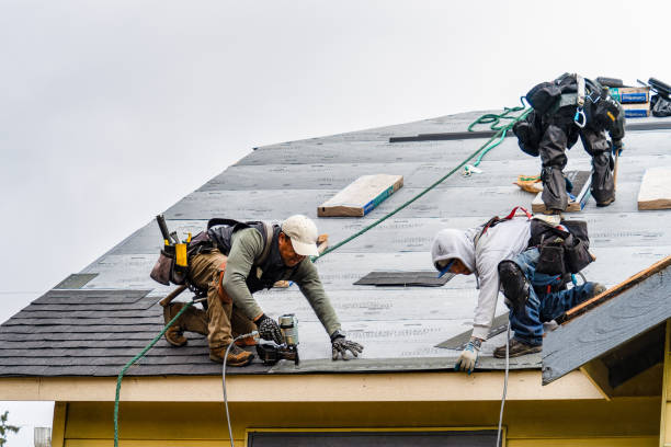 Professional Flat Roof Repair technician working in Dorchester Center, MA